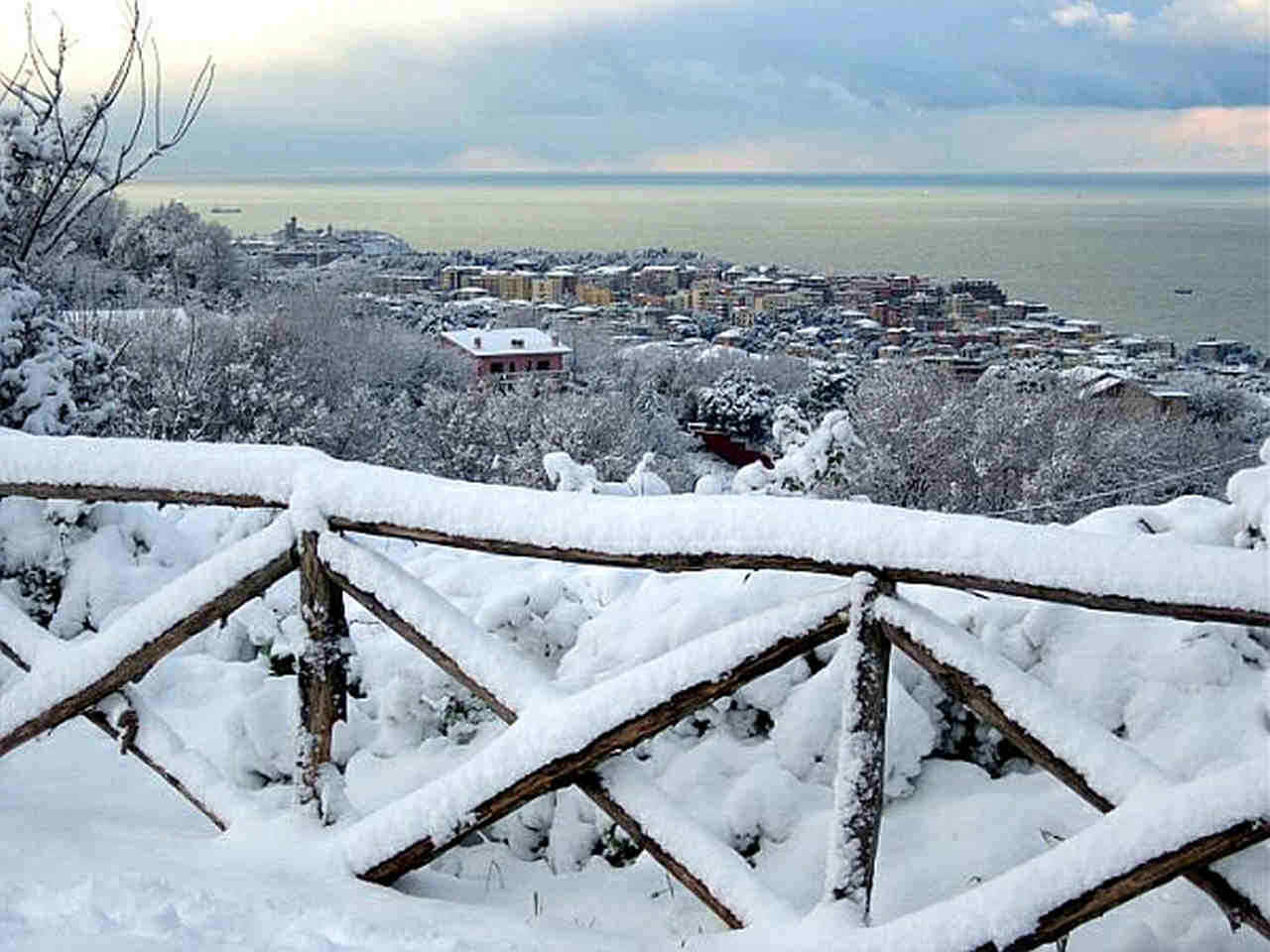 La neve ad Ancona e zone limitrofe