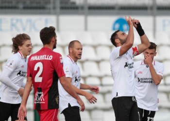 L’Albinoleffe stoppa la Pro Vercelli sul 2-2. Carrarese ko a Como