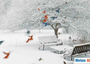 Meteo invernale, arriva altra NEVE per Capodanno. Gli ultimi aggiornamenti