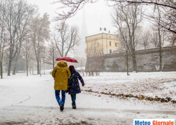 Meteo TORINO: arriva la neve