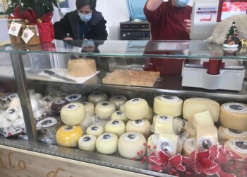 Coldiretti Macerata, Pecorino “super food” studiato dai ricercatori della Politecnica: “Processo naturale, vogliamo scoprirne il segreto”