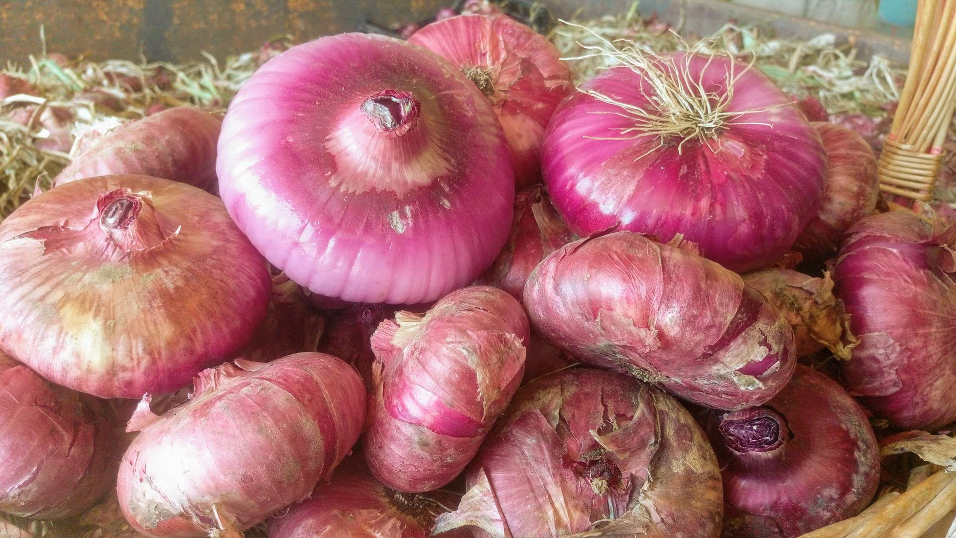 A Pedaso, nelle Marche, un nuovo Presidio Slow Food