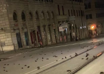 OIPA: STRAGE DI UCCELLI A ROMA PER I FUOCHI D’ARTIFICIO.