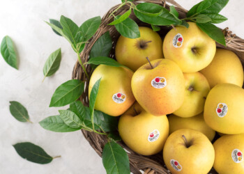 Dal Paradiso delle Mele, sua maestà Golden Delicious