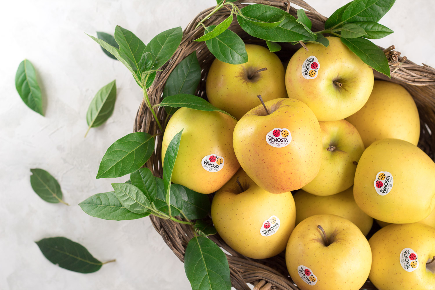 Dal Paradiso delle Mele, sua maestà Golden Delicious