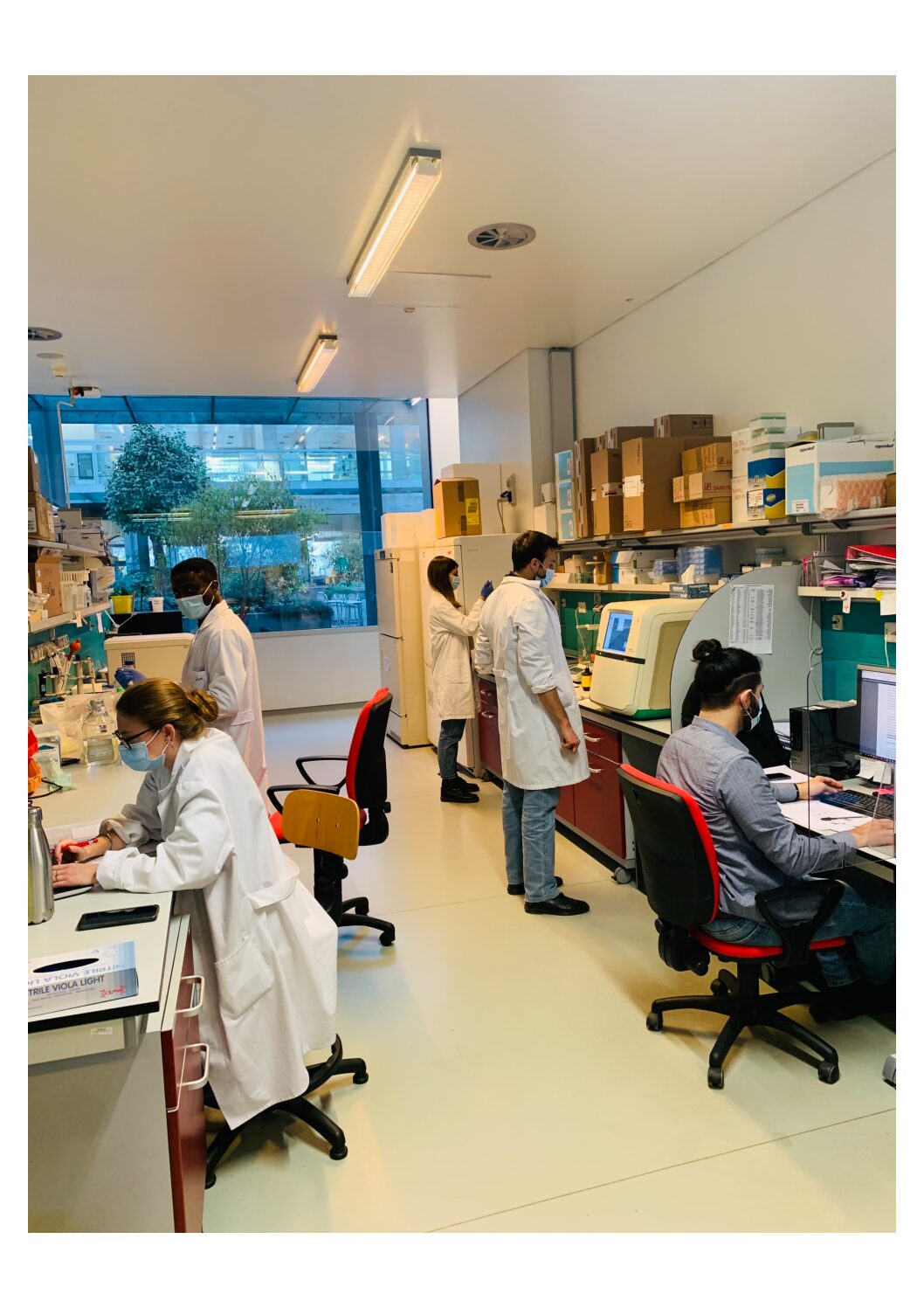 PIEMONTE: MESSA A PUNTO L’ANALISI DEI GENI MUTATI RESPONSABILI DI MALATTIA IN PAZIENTI CON INSUFFICIENZA RENALE EREDITARIA