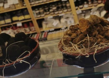 Molise, nuova meta del tartufo in Italia: Regione possiede 40% raccolta nazionale