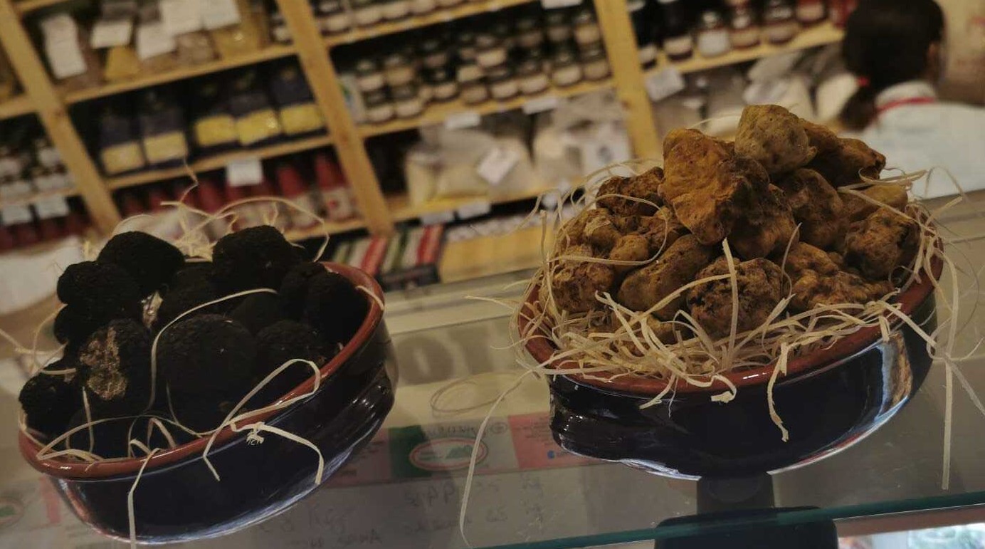 Molise, nuova meta del tartufo in Italia: Regione possiede 40% raccolta nazionale