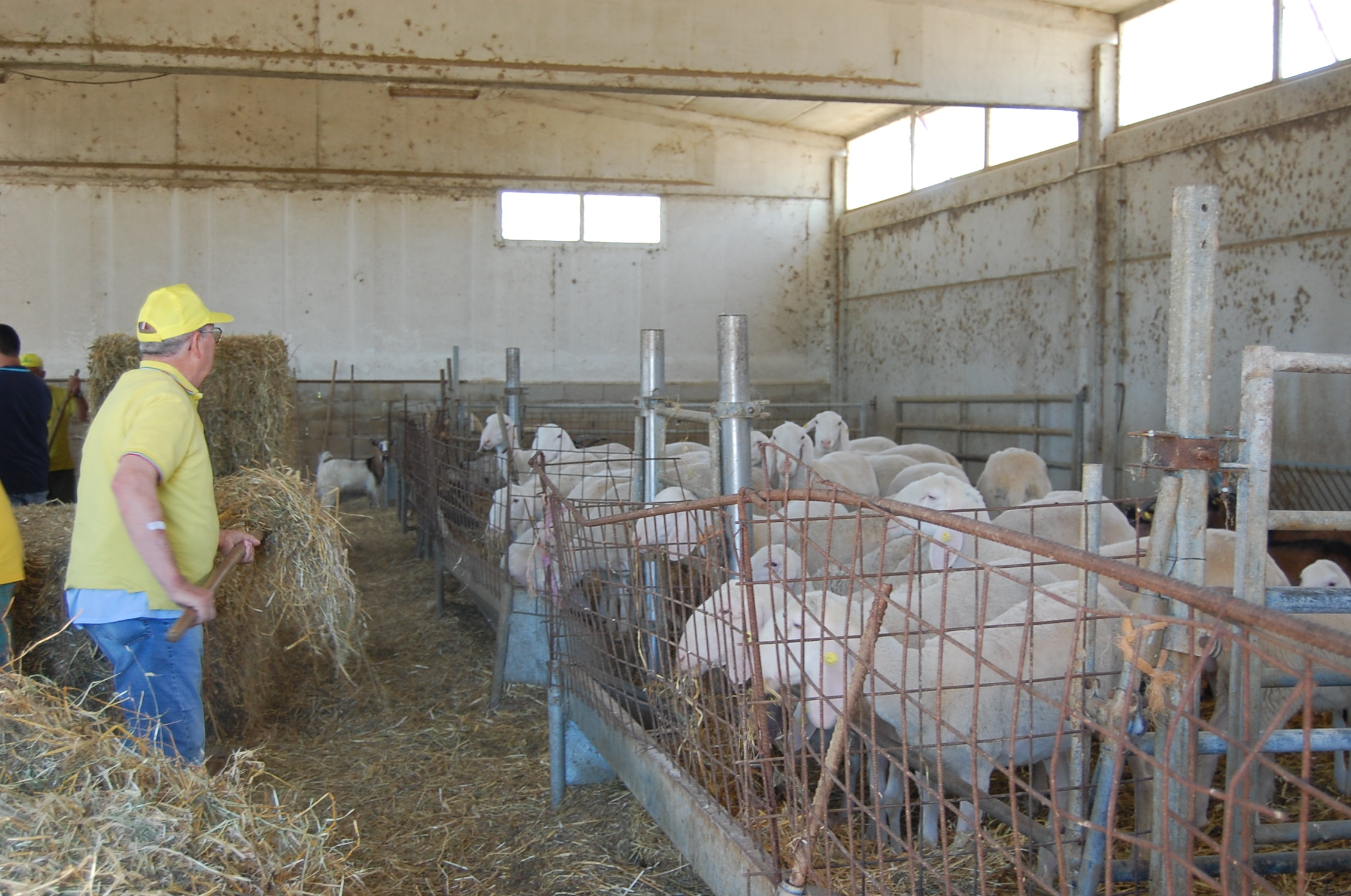 Coldiretti Marche, i Centro di Assistenza Agricola all’esordio da protagonisti nel Censimento dell’Agricoltura