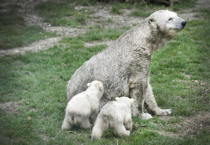 Clima: Norvegia accelera, nuove misure per ridurre emissioni