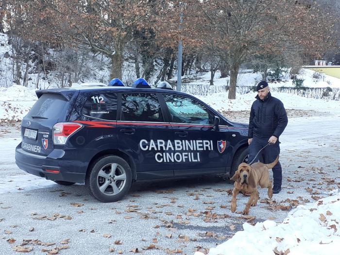 Coppia scomparsa a Bolzano, ricerche nel fiume e in montagna