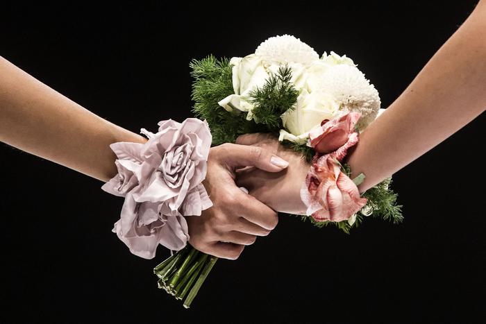 Figli di coppie di donne, dalla Consulta monito al legislatore