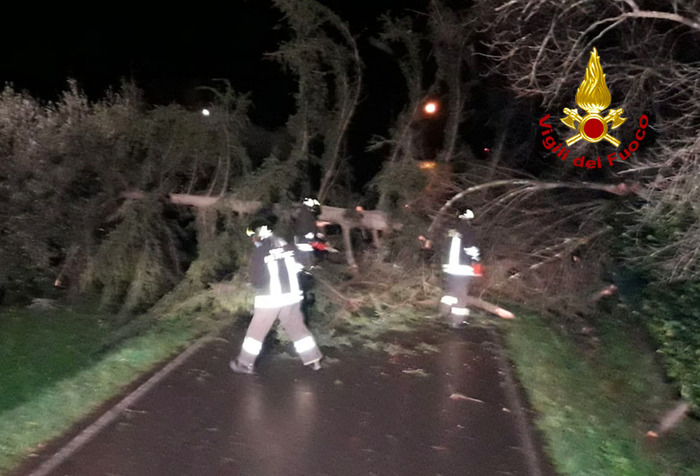 Maltempo: Toscana, decine di interventi dei vigili del fuoco