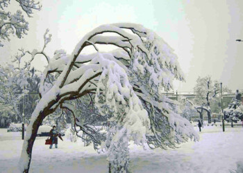 NEVE e GELO dell’Epifania: sembra quasi scritto…