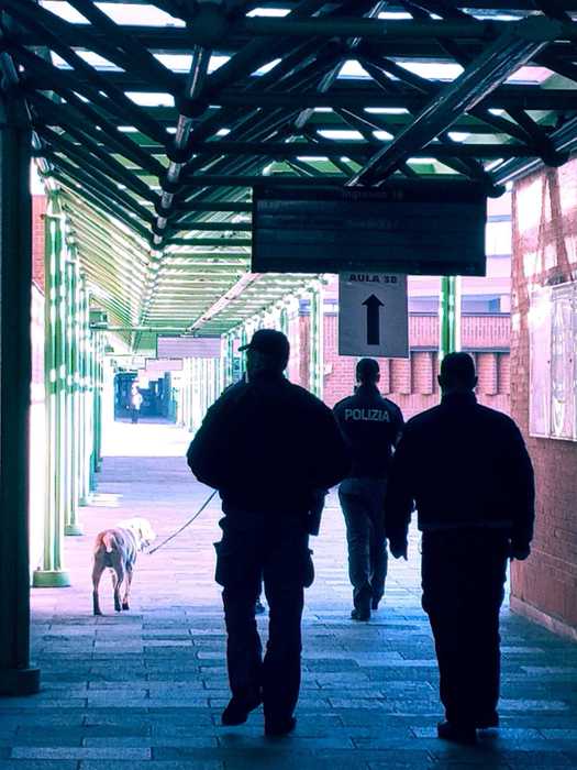 Niente legittimo impedimento per Salvini,è polemica