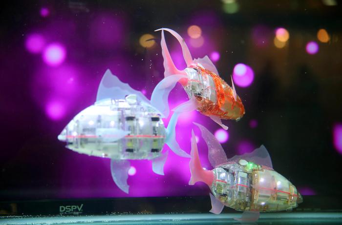 Pronto primo banco di pesci robot che si muove in autonomia