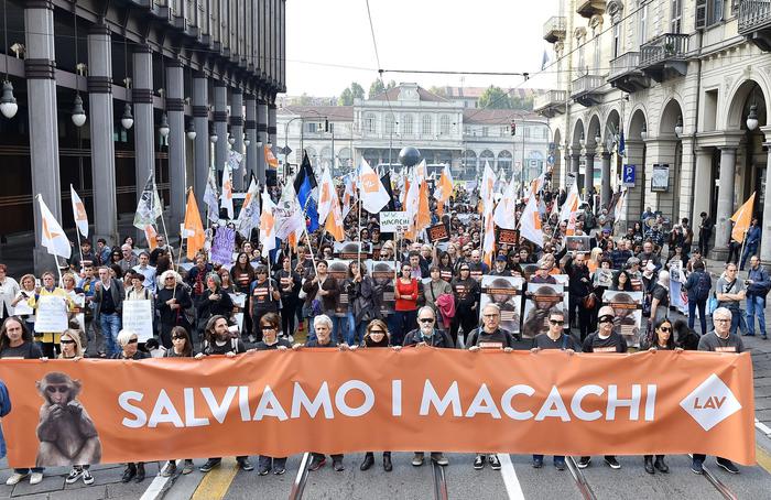 Via libera del Consiglio Stato, ripartono i test sui macachi