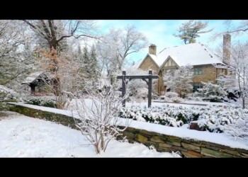 Video incantevole di una nevicata a Toronto, in Canada. Rilassanti immagini