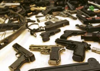 Luca Di Bartolomei: più morti per omicidi con armi legali che per mafia