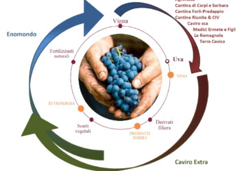 Industria agroalimentare. Nasce “Legàmi di Vite”, un importante contratto di sviluppo “green” nel comparto vitivinicolo. Interventi per oltre 115 milioni di euro di cui 81 milioni sul versante ambientale