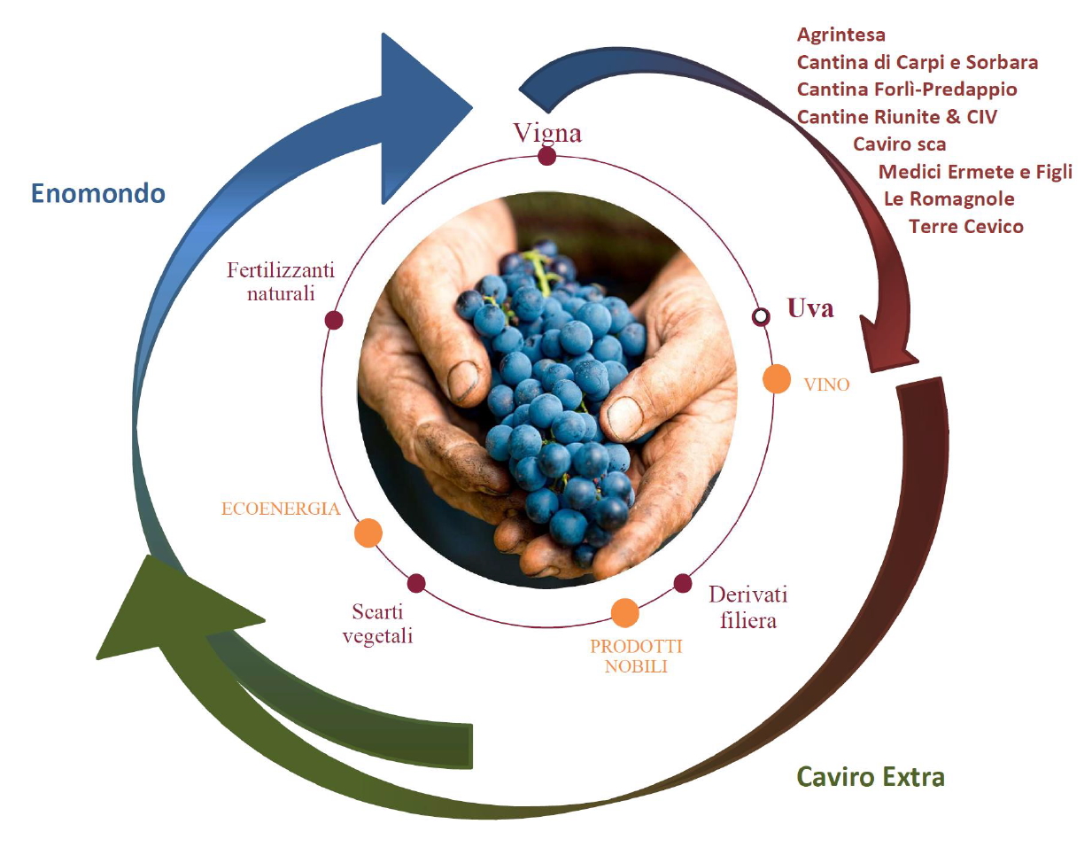Industria agroalimentare. Nasce “Legàmi di Vite”, un importante contratto di sviluppo “green” nel comparto vitivinicolo. Interventi per oltre 115 milioni di euro di cui 81 milioni sul versante ambientale