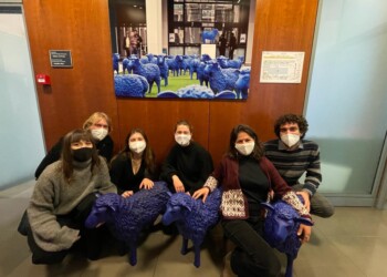 60 tonnellate di lana sprecata, 4 ragazze e 2 ragazzi (under 23) inventano Lokalana, una soluzione per riciclarla