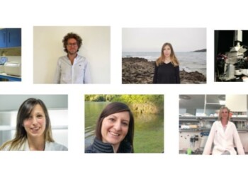 BANDO “AGYR 2020”  300 MILA EURO ASSEGNATI A SETTE PROGETTI DI RICERCA SULLE FASI PRECOCI DELLA MALATTIA DI ALZHEIMER