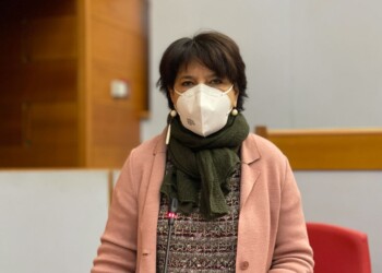 VEICOLI ELETTRICI. EUROPPA VERDE: OCCORRE RIDURRE IL COSTO DELL’ELETTRICITÀ NELLE COLONNINE DI RICARICA E PROMUOVERE LE COMMUNITY CHARGER