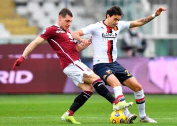 Belotti, un Gallo da 3,5 milioni: le cifre per il rinnovo col Torino