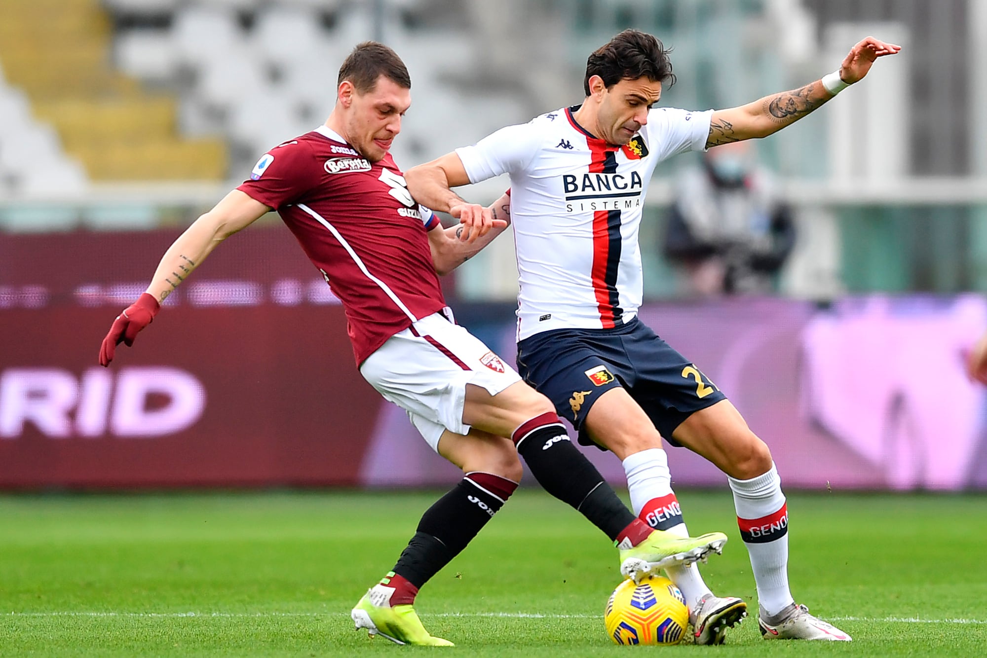 Belotti, un Gallo da 3,5 milioni: le cifre per il rinnovo col Torino