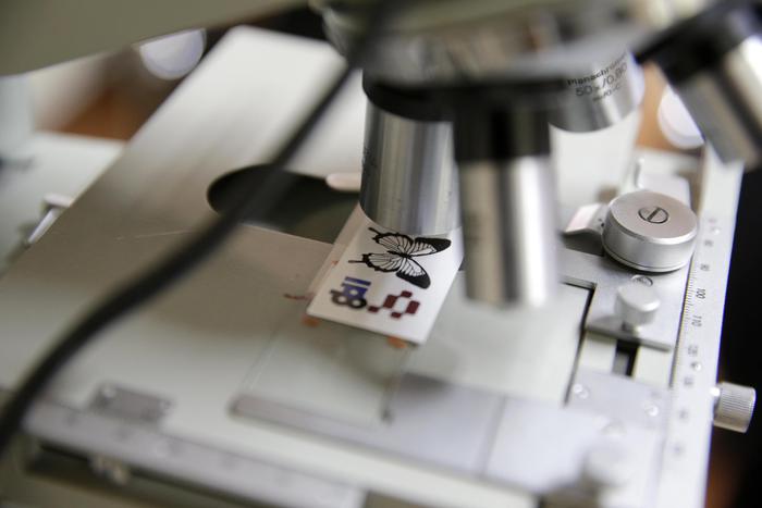 Covid: il virus resiste solo 3 ore sulla carta