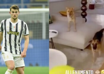 De Ligt, allenamento in casa con Luna e Bella
