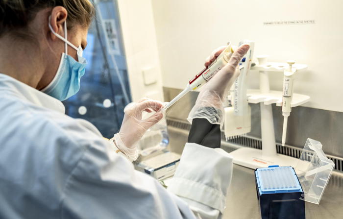 Ecdc, il Covid probabilmente non scomparirà