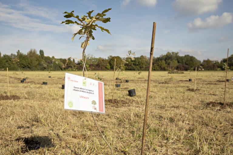 Ripopolare il verde del pianeta, la nuova mission delle aziende sempre più social responsibility