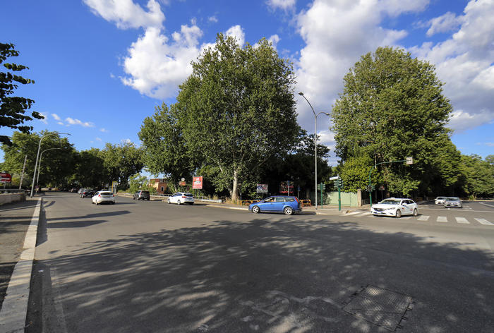 Gli alberi lungo le strade diminuiscono la depressione