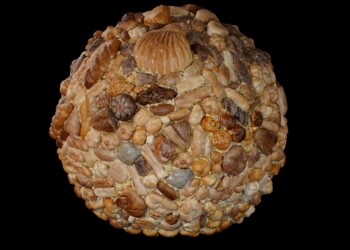 LA RINASCITA SOSTENIBILE NEL CUORE DELLA CITTA’