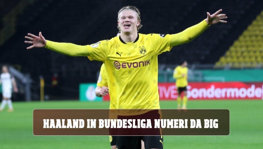 Haaland in Champions numeri da big