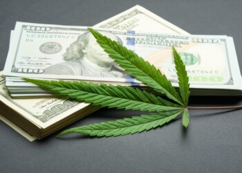 I migliori titoli di cannabis da comprare? Top 5 delle azioni di marijuana da tener d’occhio