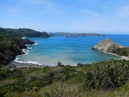 Un tuffo nel blu delle isole Ogasawara