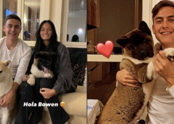 Juve, in casa Dybala è arrivato un altro cane: si chiama Bowen