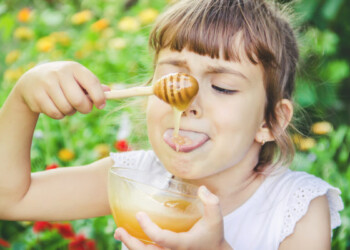 “La ‘Direttiva breakfast’ riguarda la revisione di alcune norme di etichettatura e di commercializzazione quali miele, confetture, succhi