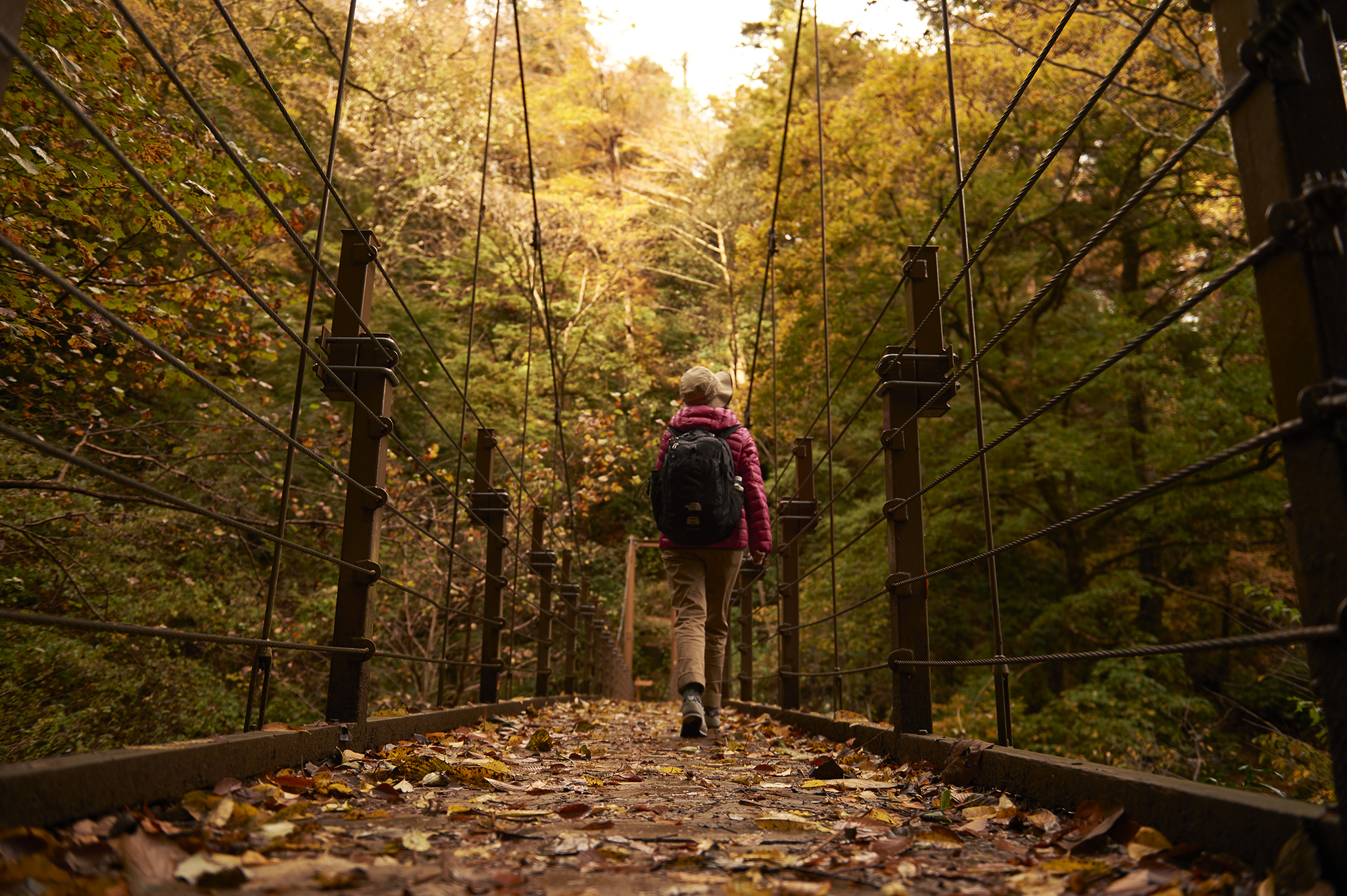 MONTE TAKAO, IL LATO PIÙ VERDE E INUSUALE DI TOKYO
