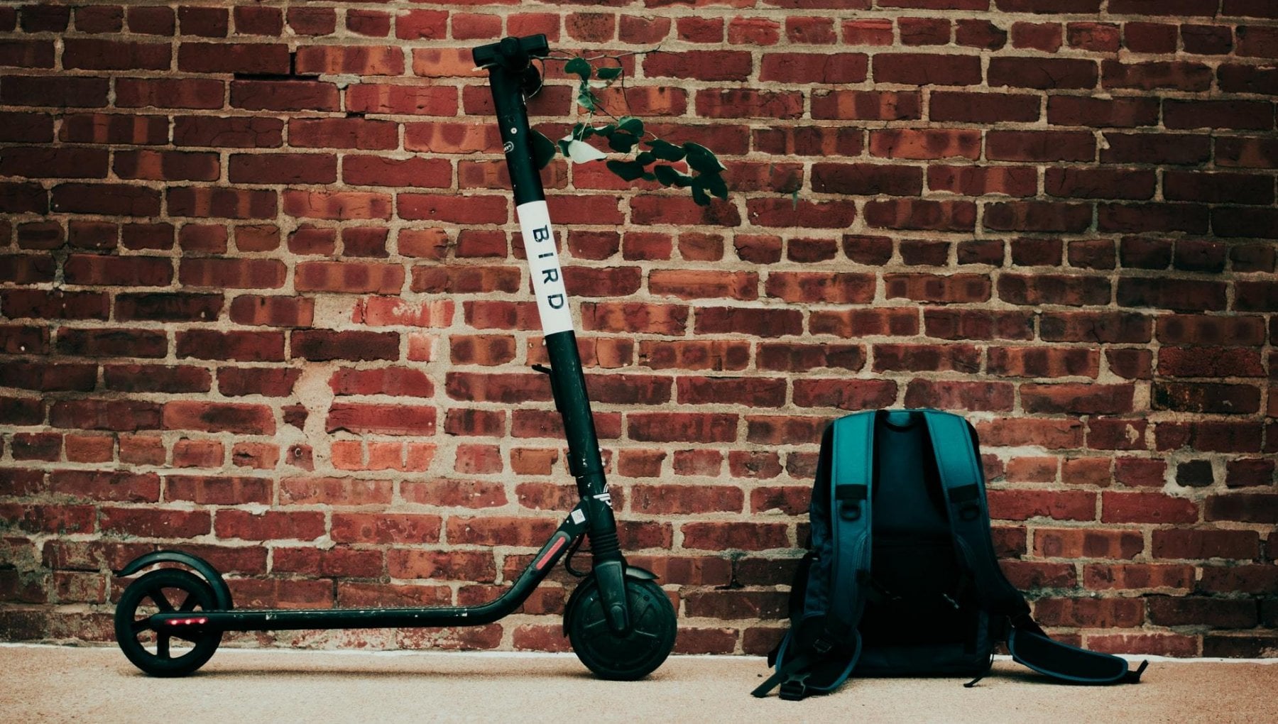 Noleggio a lungo termine, arrivano anche i monopattini elettrici