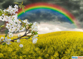 Primi di Febbraio con CALDO ANOMALO, da anticipo di primavera. Ma poi…