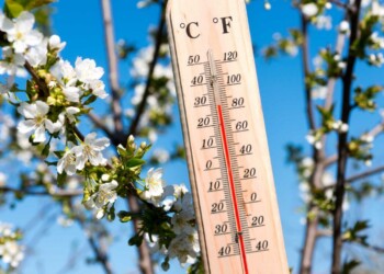 Super caldo di febbraio in Italia: record storici, superati i 25 gradi