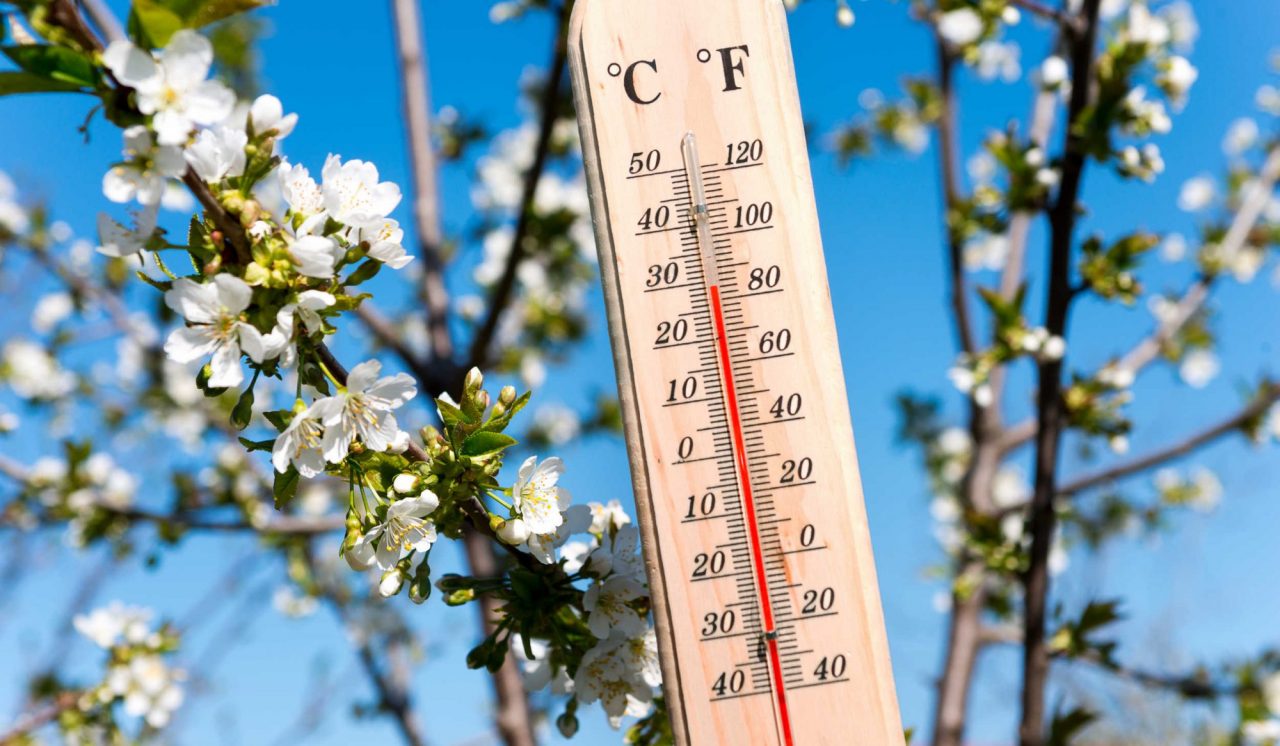 Caldo esagerato di primavera