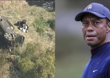 Tiger Woods ferito dopo un incidente d’auto: è in ospedale
