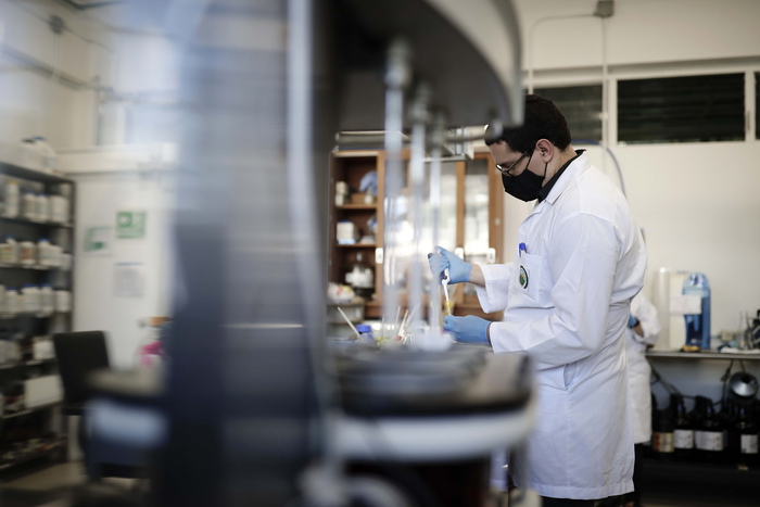 Tumori: una nuova terapia affama le cellule cancerose