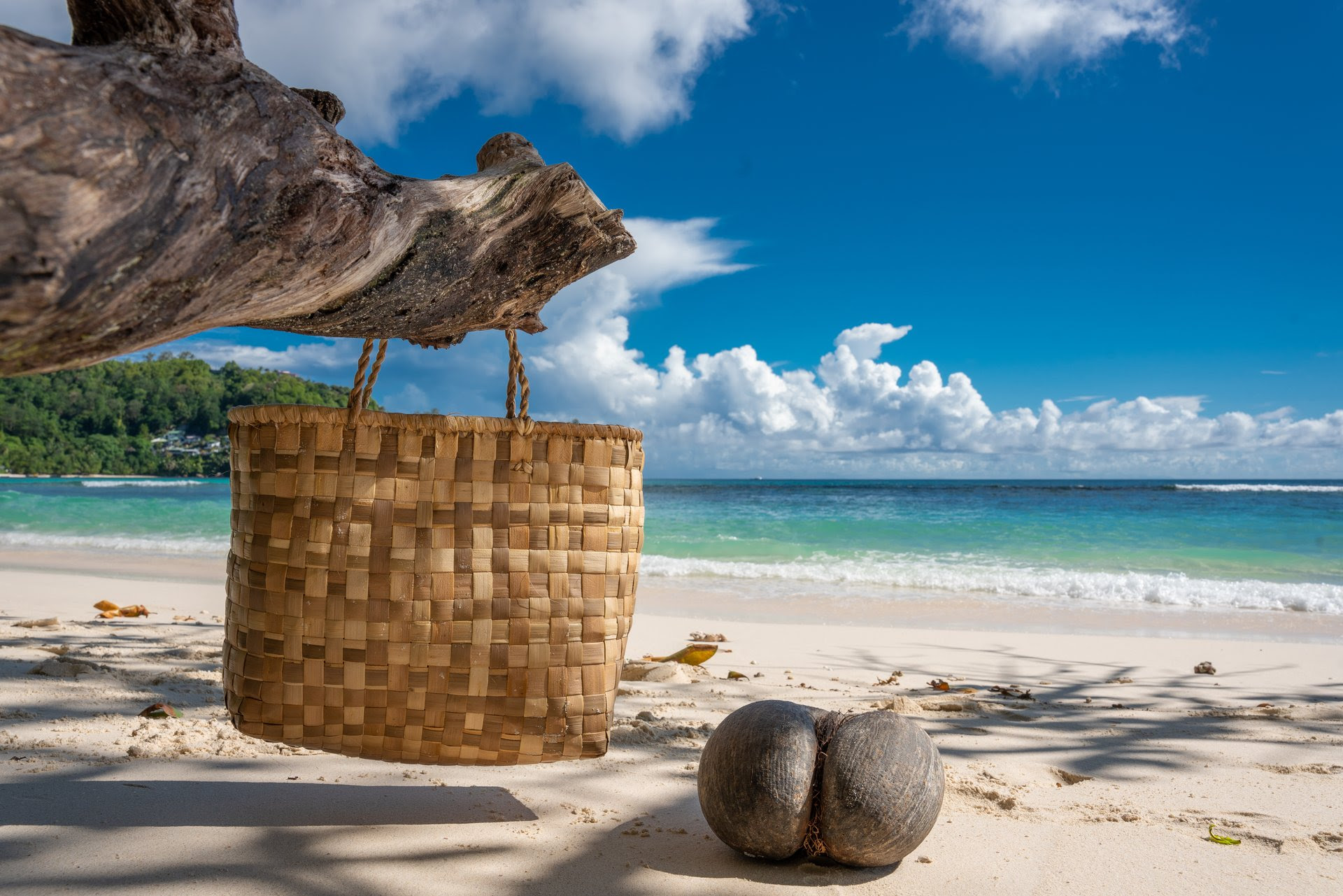 SEYCHELLES, PARADISO ECOSOSTENIBILE