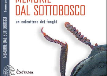 “Memorie dal sottobosco. Un coleottero dei funghi”, di Tommaso Lisa. Un memoir entomologico tra digressioni letterarie, naturalistiche e filosofiche